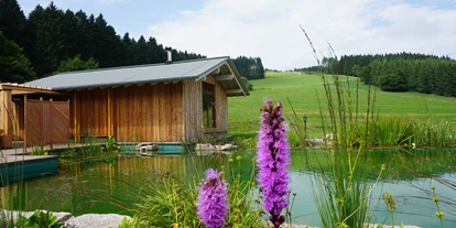 Wellnessurlaub - Pools: Innenpool - Nordrhein-Westfalen - Hotel Rimberg