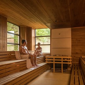 Wellnesshotel: Finnische Sauna - BollAnts SPA im Park