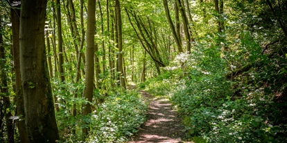 Wellnessurlaub - Day SPA - Bell (Landkreis Mayen-Koblenz) - Wanderwege rund um das Hotel - Hotel Zugbrücke Grenzau