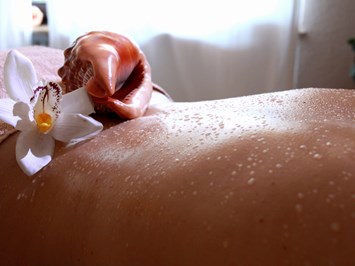 Hotel Am Hirschhorn Massagen im Detail Muschel-Relax-Massage