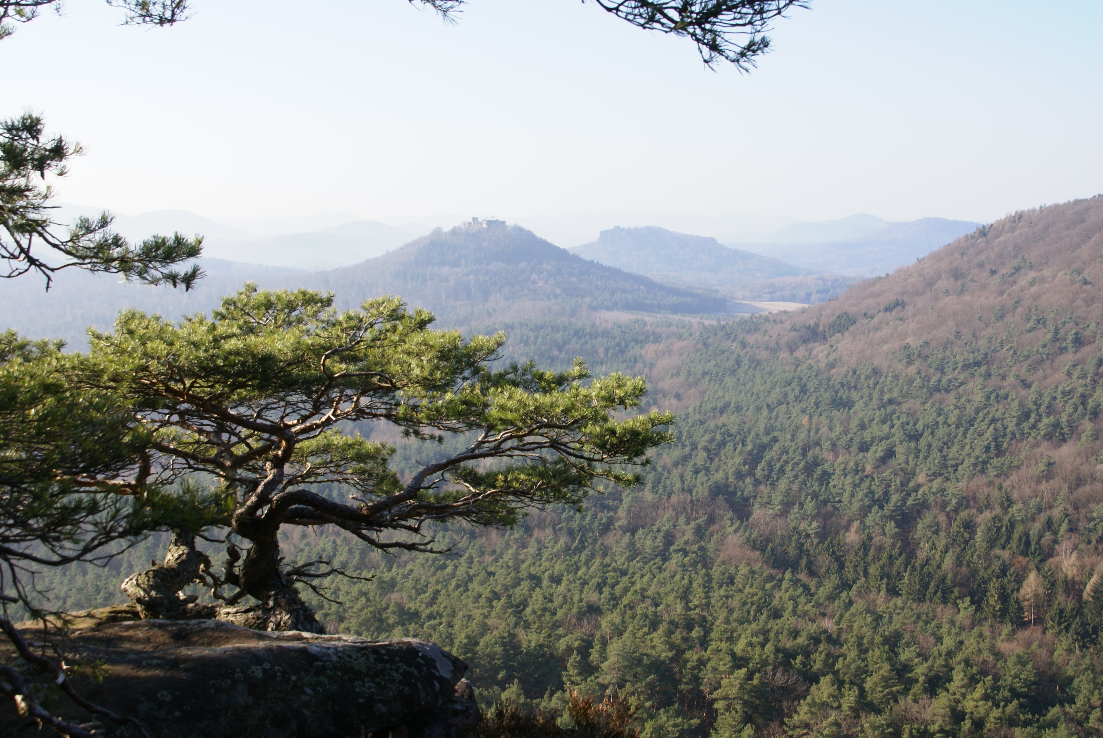 Wellnesshotel: Pfälzer Wald - Umgebung - Hotel Am Hirschhorn