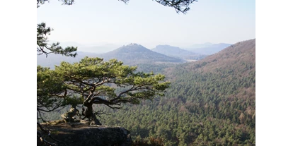 Wellnessurlaub - Ganzkörpermassage - Esthal - Pfälzer Wald - Umgebung - Hotel Am Hirschhorn