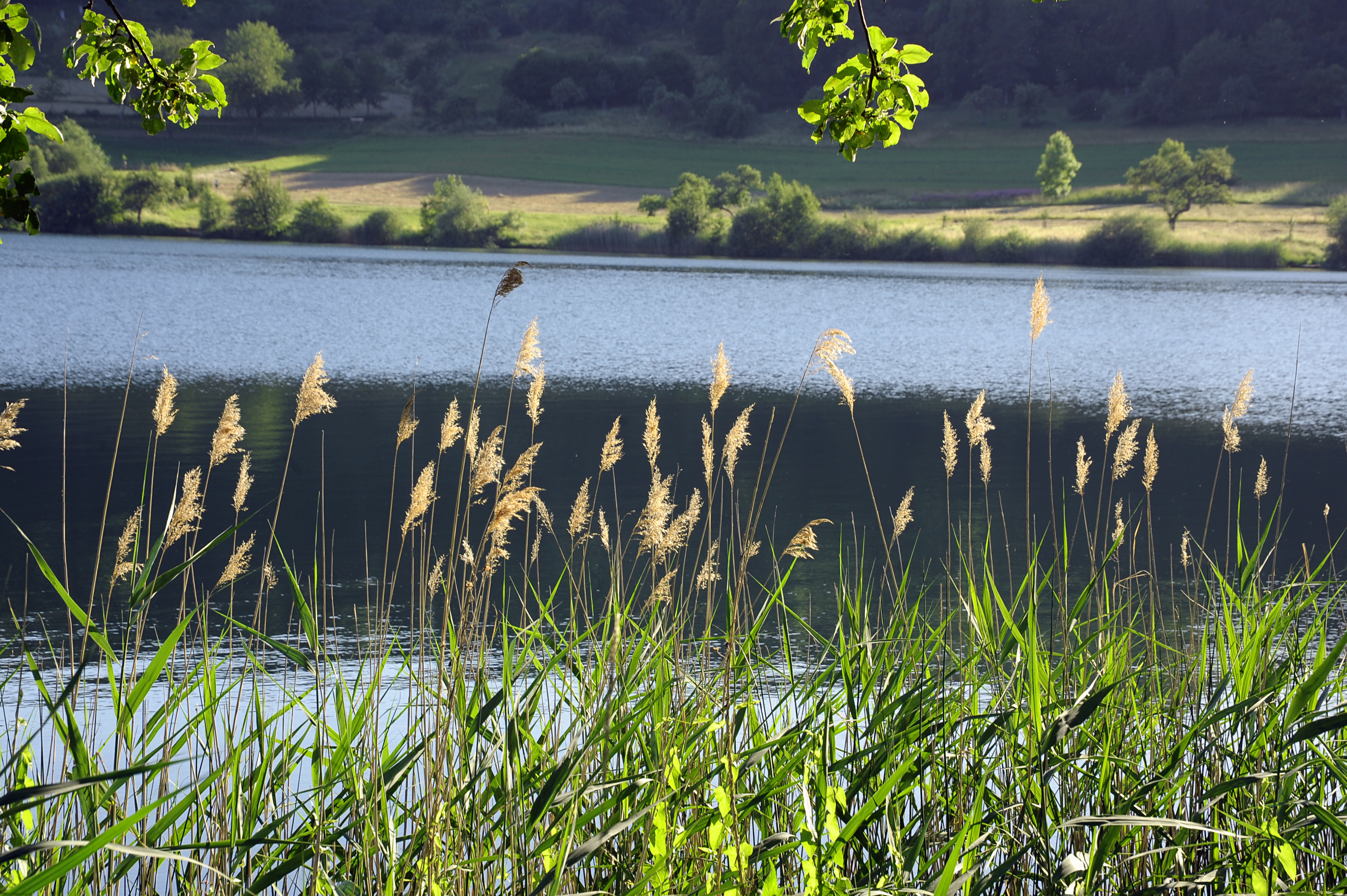 Wellnesshotel: Entdeckt das wunderschöne Maar in Schalkenmehren und genießt danach erholsame Stunden in unserem Michels Wohlfühlhotel. - Michels Wohlfühlhotel   - Hotel | Umgebung