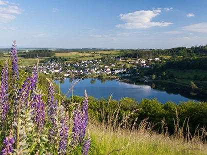 Wellnessurlaub - Verpflegung: Frühstück - Kall - Michels Wohlfühlhotel