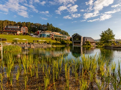Wellnessurlaub - Ganzkörpermassage - Esthal - Pfalzblick Wald Spa Resort