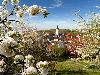 Wellnessurlaub - Pools: Außenpool beheizt - Erzgebirge - Meerane - Romantik Hotel Schwanefeld & Spa