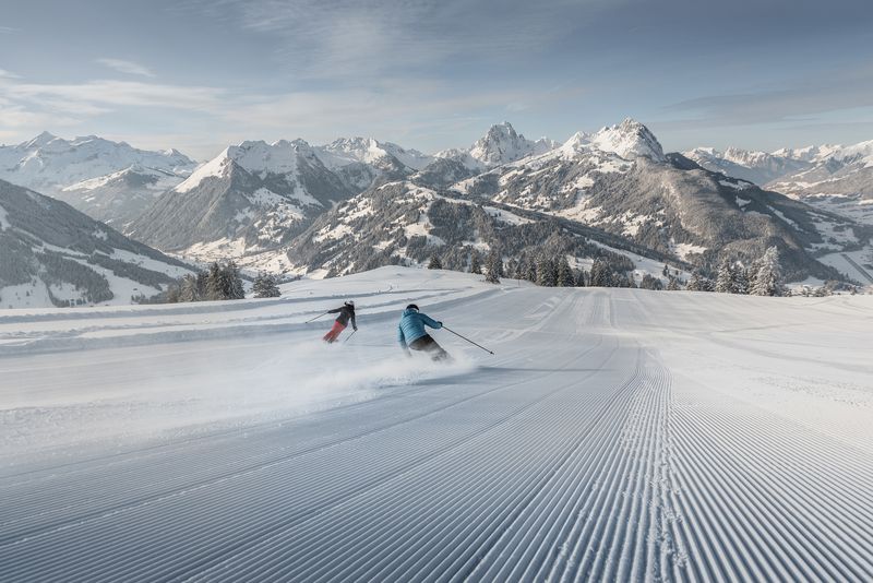 Wellnesshotel: The Alpina Gstaad