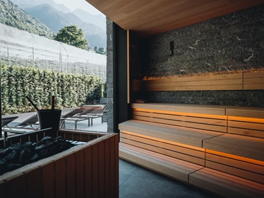 Wellnesshotel: Klein Fein Hotel Anderlahn