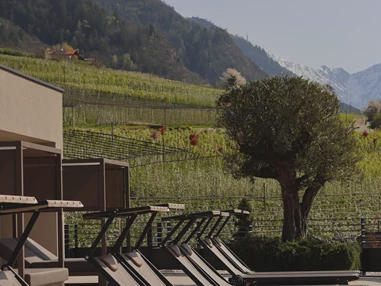 Wellnesshotel: Klein Fein Hotel Anderlahn