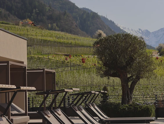 Wellnesshotel: Klein Fein Hotel Anderlahn