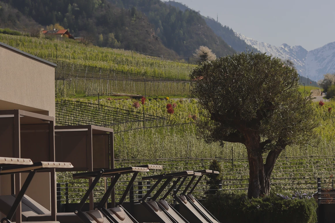 Wellnesshotel: Klein Fein Hotel Anderlahn