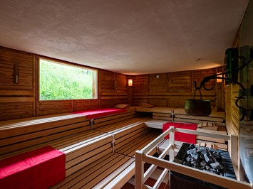 4* Hotel Erlebach für Ihre Auszeit mit Ruhe und Bewegung Saunen und Bäder im Detail Finnische Sauna mit Zugang ins Freie