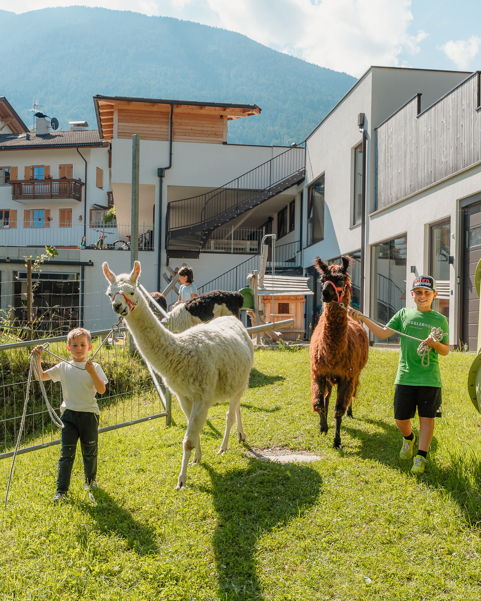 Wellnesshotel: Hotel Torgglerhof