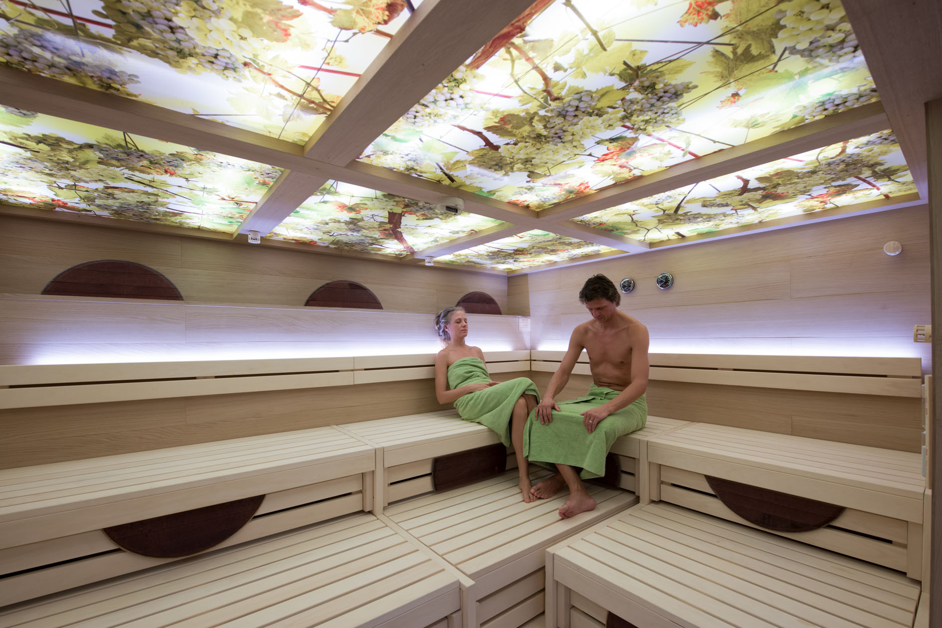 Althof Retz Landgut & SPA Saunen und Bäder im Detail BIo Sauna "Weinlaube"
