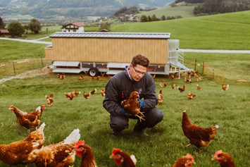 Wellnesshotel: eigene Hühner für frische Bio-Eier, Thema Nachhaltigkeit, IMLAUER Hotel Schloss Pichlarn - IMLAUER Hotel Schloss Pichlarn