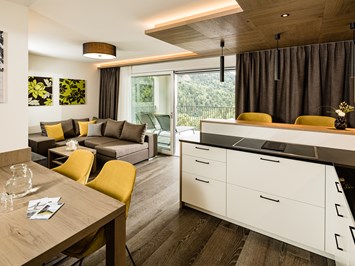 Panorama Residence Saltaus Zimmerkategorien Typ 14 – One Bedroom Suite mit Terr asse
