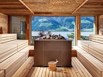 Feldhof DolceVita Resort Saunen und Bäder im Detail Altholzsauna mit Panoramablick 90 °C