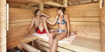 Wellnessurlaub - Schwanenstadt - Hotel Hollweger