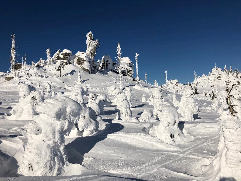 1. Bier- und Wohlfühlhotel Gut Riedelsbach Ausflugsziele Dreisessel 