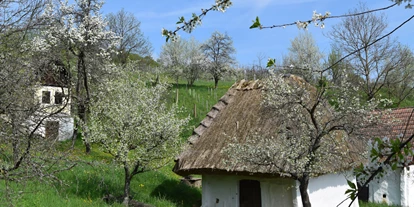 Wellnessurlaub - Restaurant - Stegersbach - Einzigartiges Kellerviertel in Heiligenbrunn
Foto (c) beim Krutzler - beim Krutzler ****Genussgasthof & Hotel