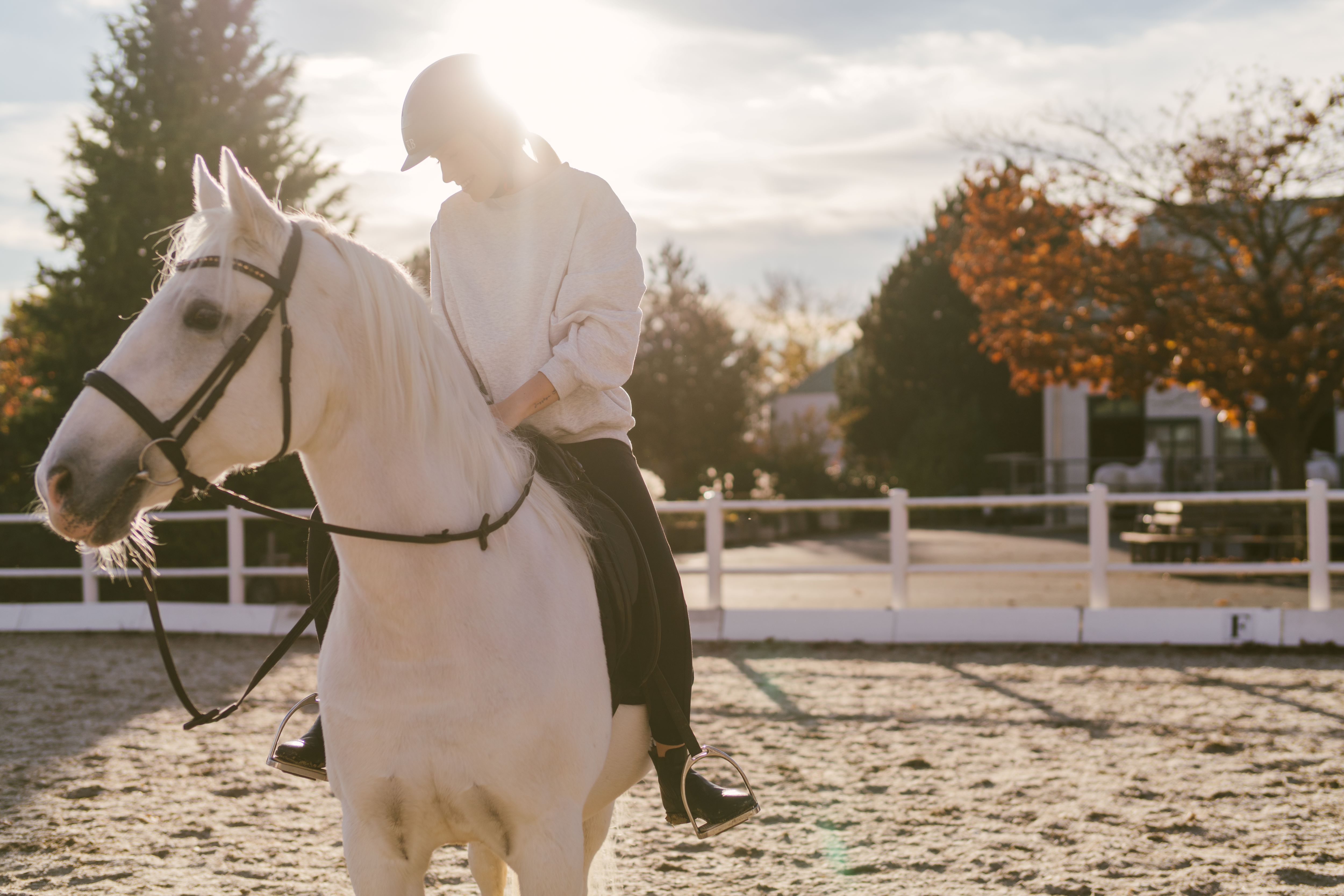 Wellnesshotel: beschwingtes Reitvergnügen - Hotel Reiters Supreme