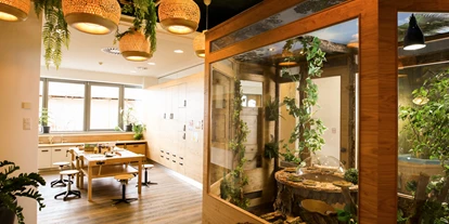 Wellnessurlaub - Umgebungsschwerpunkt: am Land - Gramatneusiedl - Therme_Kinderbereich_Forschungsstation - St. Martins Therme & Lodge