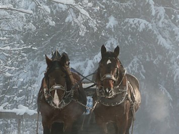 Alpenhof Grainau Ausflugsziele Pferdeschlitten