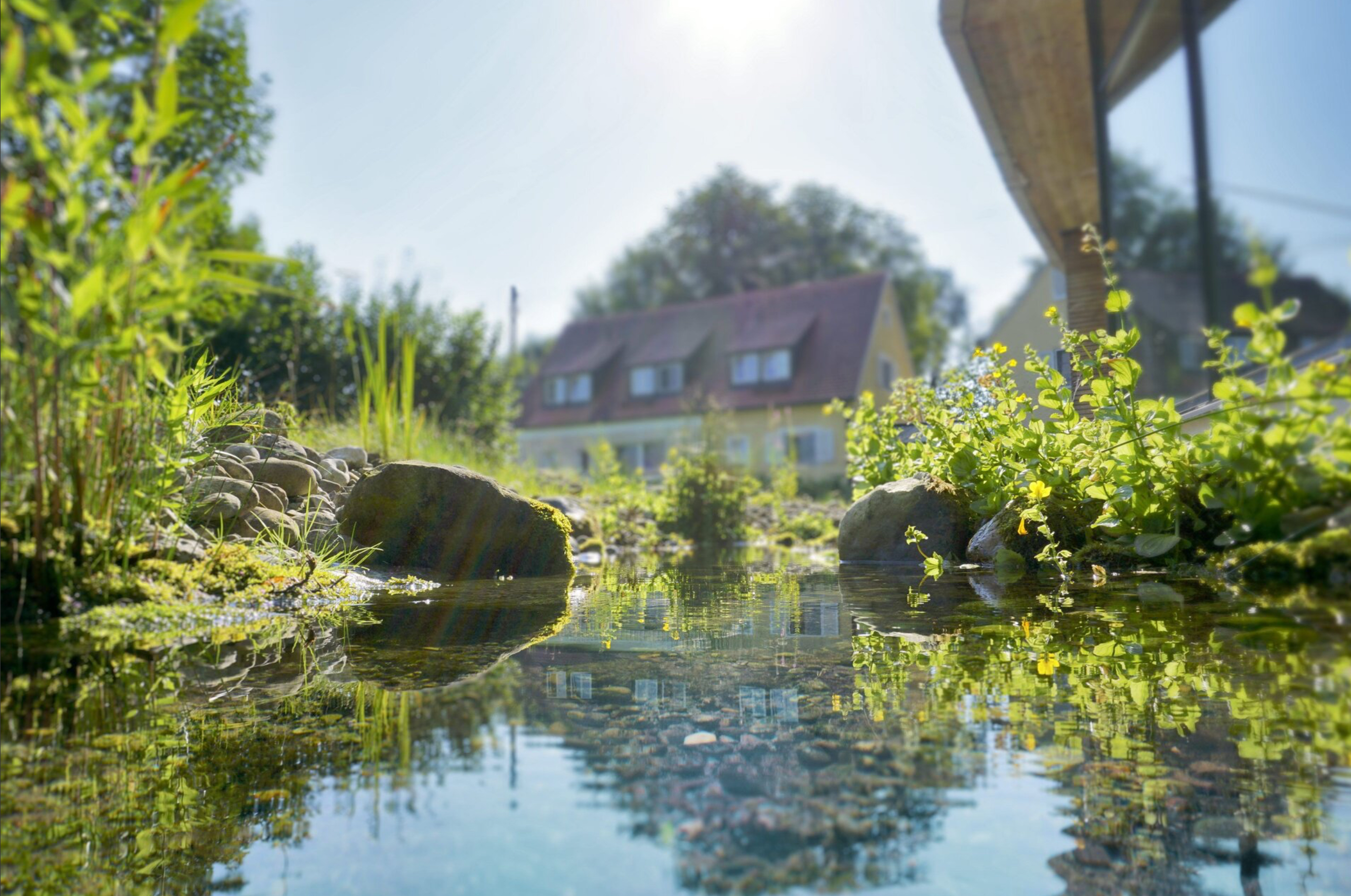 Wellnesshotel: Wasser / Quelle von Bad Clevers - BAD CLEVERS Health Resort & Medical SPA - Wasser