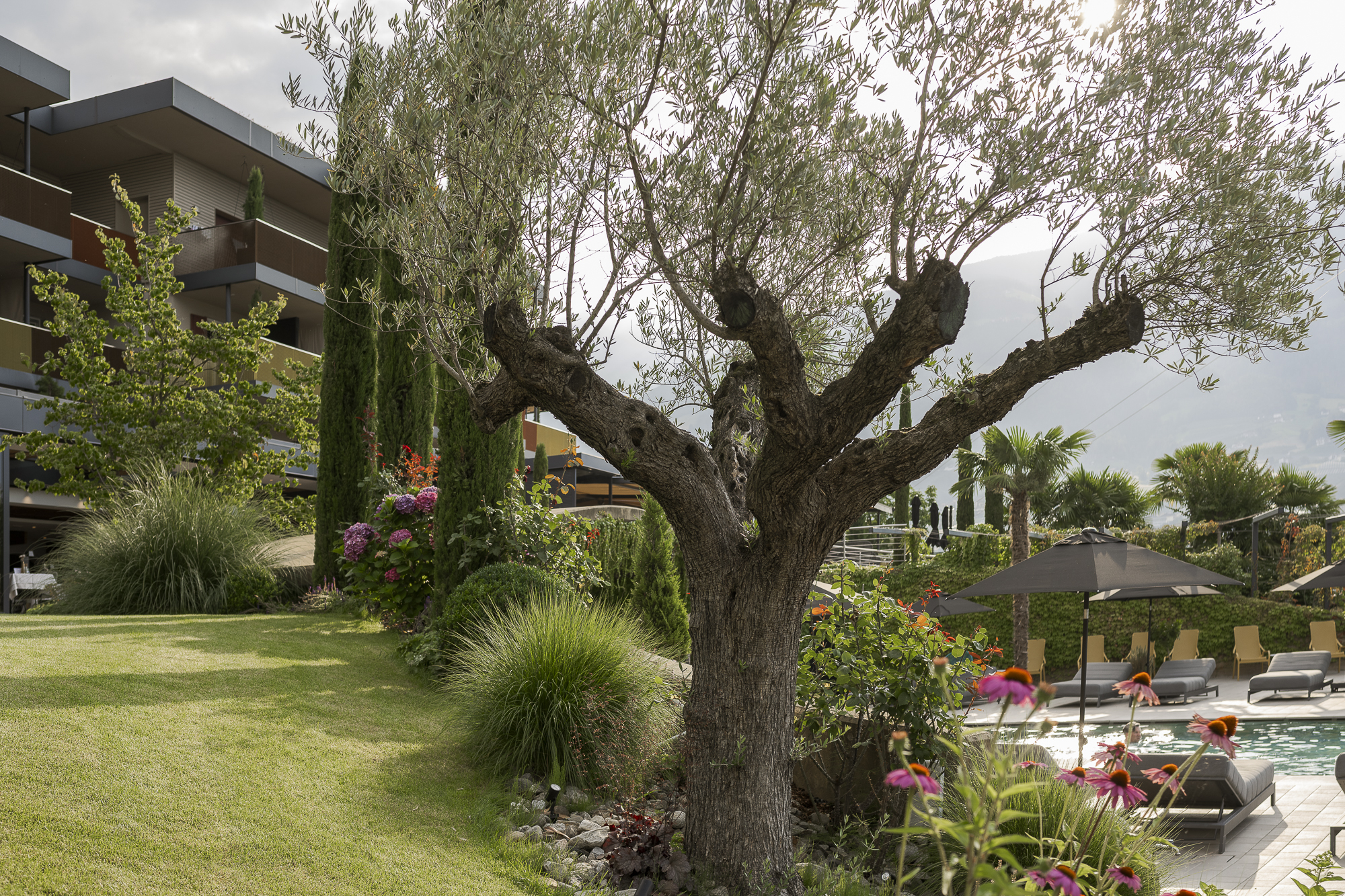 Wellnesshotel: Feel good Resort Johannis