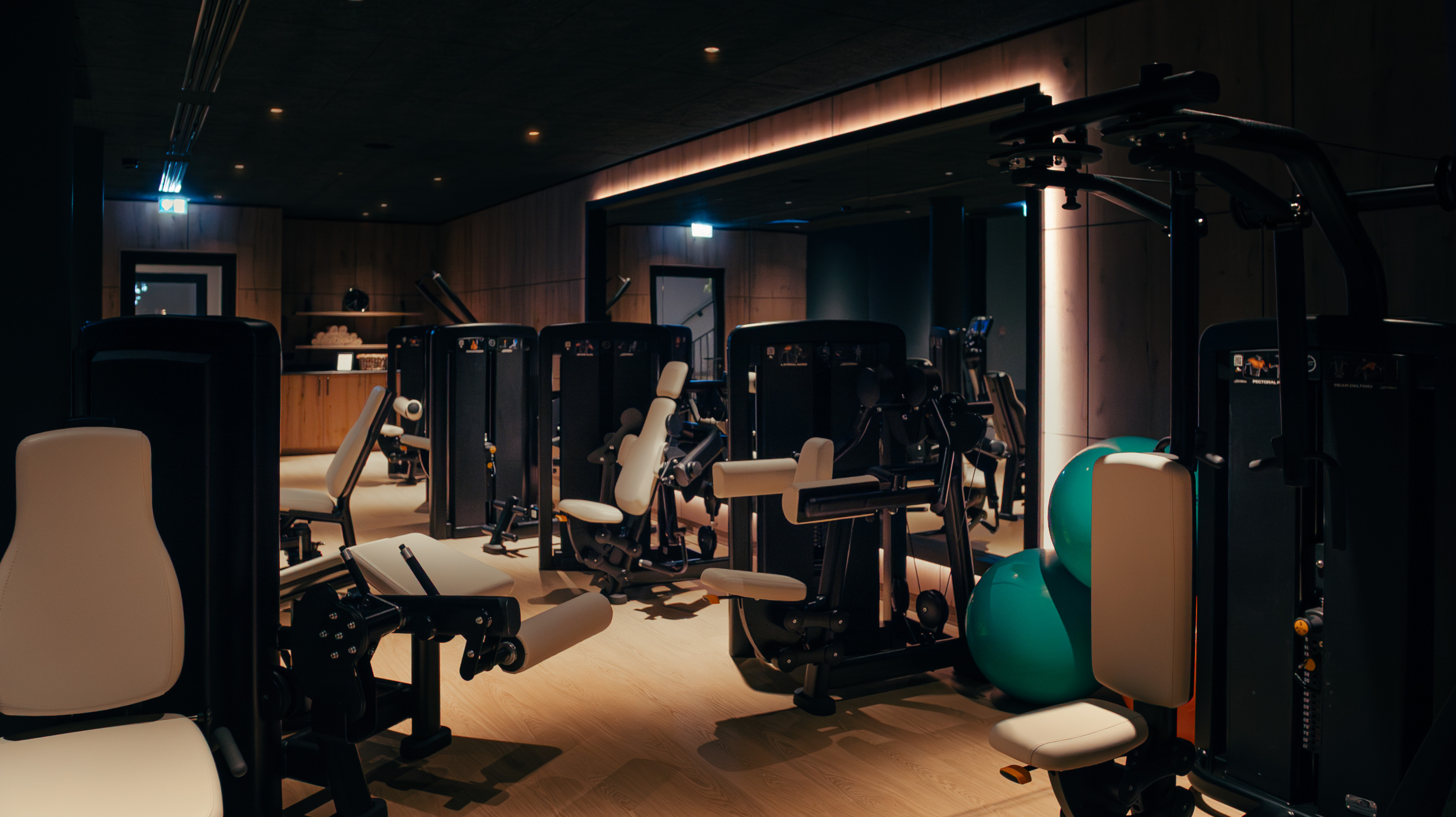 Wellnesshotel: Fitness Studio - DAS MÜHLBACH thermal retreat & wellness resort - Hotel | Umgebung