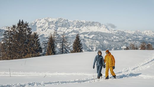 Wellnesshotel: Hotel AlpenSchlössl
