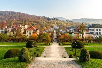 Wellnesshotel: Dorint Resort & Spa Bad Brückenau