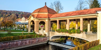 Wellnessurlaub - Schweinfurt - Dorint Resort & Spa Bad Brückenau