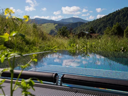Wellnessurlaub - Fontanella - Im Relaxpool ist das frische Gras zum Greifen nah.  - Haubers Naturresort