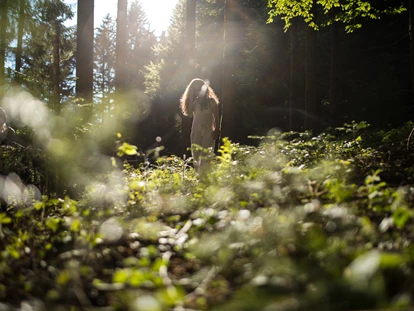 Wellnessurlaub - Fontanella - Haubers Wald ist zu allen Jahreszeiten und bei jedem Wetter ein Kraftort. - Haubers Naturresort