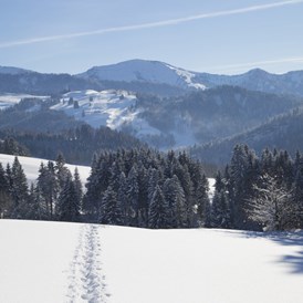 Wellnesshotel: Der Winter in Haubers Naturresort bietet viele Möglichkeiten zur Bewegung an der klare Luft und mit herrlichen Ausblicken. - Haubers Naturresort