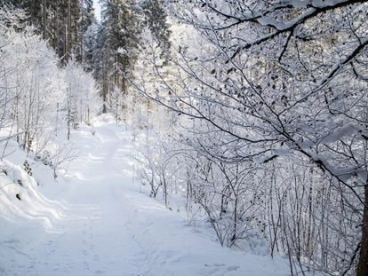Wellnessurlaub - Fontanella - Haubers verschneiter Wald ist ideal für romantische Spaziergänge und Winterwanderungen. - Haubers Naturresort