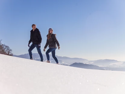Wellnessurlaub - Private Spa - Otterbach (Sankt Florian am Inn) - Geführte Winter-Wanderungen - 5* Wellness- & Sporthotel Jagdhof
