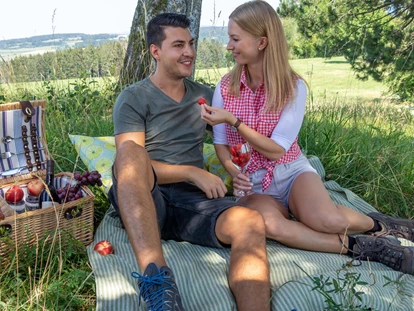 Wellnessurlaub - Seminarraum - Schallstadt - Umgebung - Wellnesshotel Sonnenhof & Sonnhalde