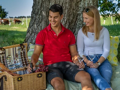 Wellnessurlaub - Seminarraum - Schallstadt - Picknick im Grünen - Wellnesshotel Sonnenhof & Sonnhalde