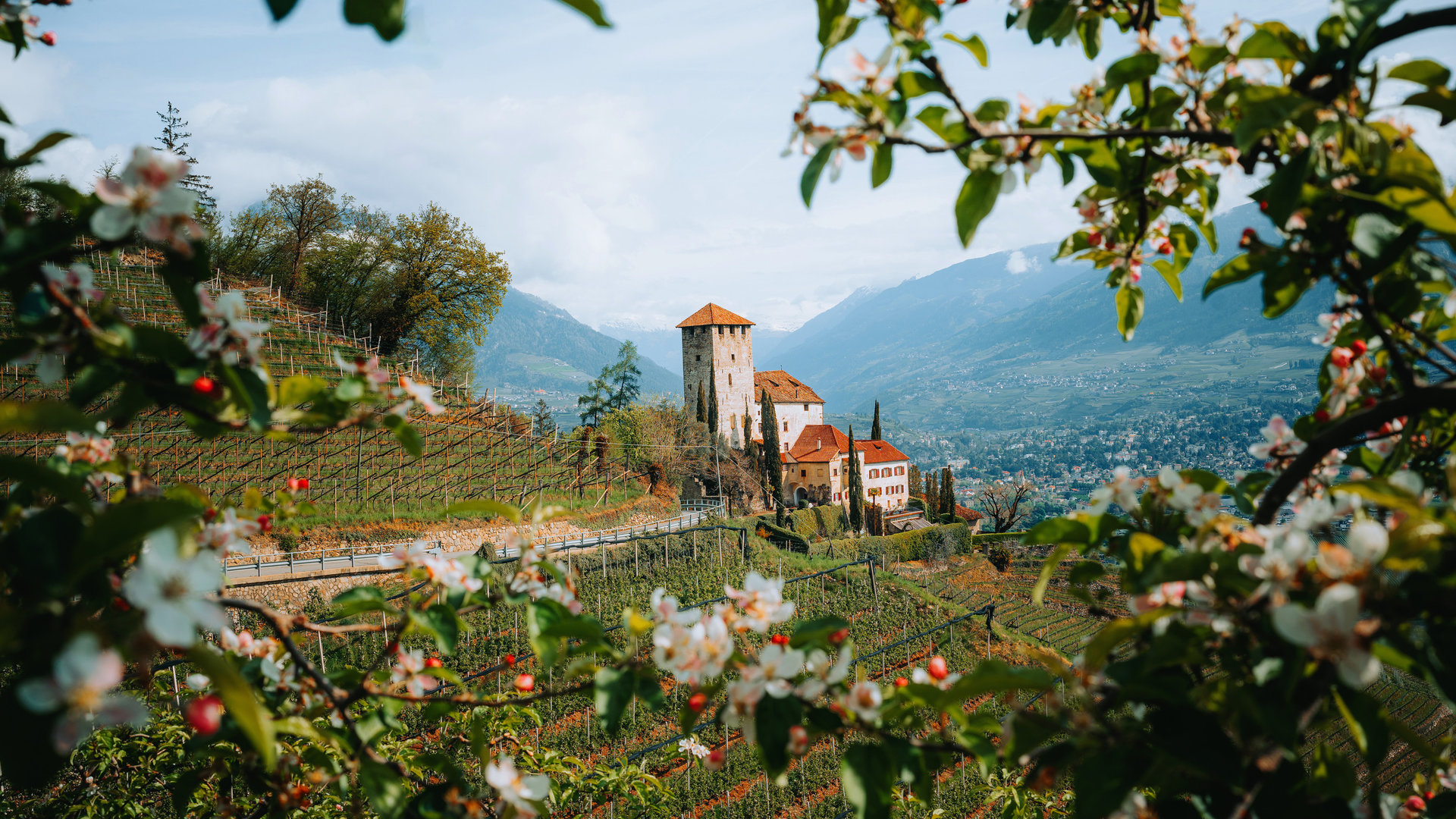 Wellnesshotel: Burgruine Lebenberg in Marling, ein wunderbares Ausflugsziel - Hotel Der Waldhof