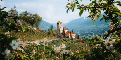 Wellnessurlaub - Dorf Tirol - Burgruine Lebenberg in Marling, ein wunderbares Ausflugsziel - Hotel Der Waldhof