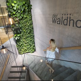 Wellnesshotel: Hotel Der Waldhof