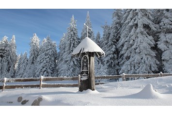 Wellnesshotel: INNs HOLZ Natur- & Vitalhotel**** Kapelle im Winter - INNs HOLZ Natur- & Vitalhotel****