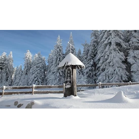 Wellnesshotel: INNs HOLZ Natur- & Vitalhotel**** Kapelle im Winter - INNs HOLZ Natur- & Vitalhotel****s