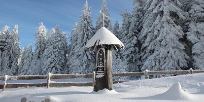 Wellnessurlaub - Hunde: hundefreundlich - Oberösterreich - INNs HOLZ Natur- & Vitalhotel****s Kapelle im Winter - INNs HOLZ Natur- & Vitalhotel****s