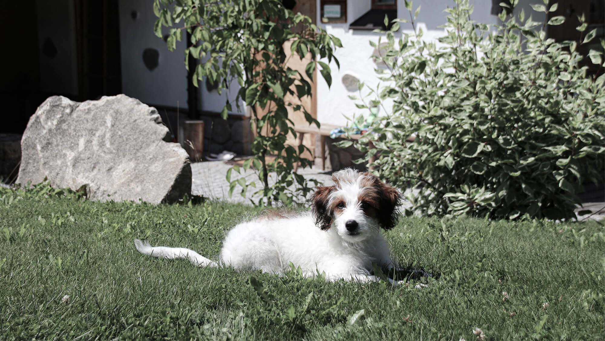 Wellnesshotel: INNs HOLZ Natur- & Vitalhotel****s Urlaub mit Hund - INNs HOLZ Natur- & Vitalhotel****s - Hotel | Umgebung