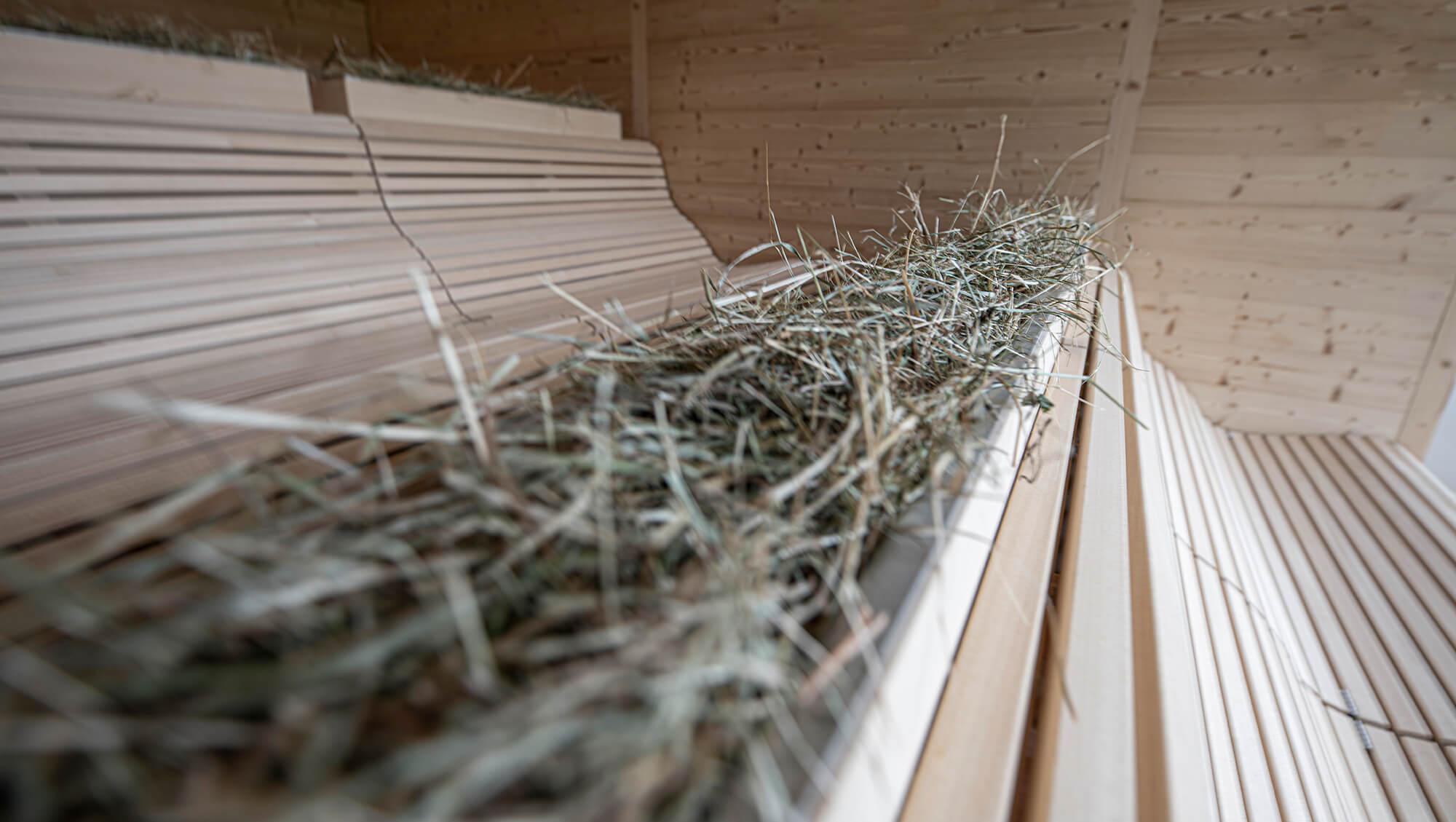 Wellnesshotel: INNs HOLZ Natur- & Vitalhotel****s Heusauna - INNs HOLZ Natur- & Vitalhotel****s - Sauna | Spa