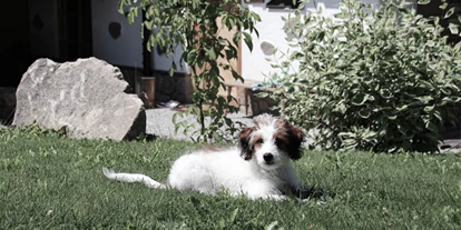 Wellnessurlaub - Private Spa - Otterbach (Sankt Florian am Inn) - INNs HOLZ hundefreundliches Chaletdorf Urlaub mit Hund im Sommer - INNs HOLZ Chaletdorf