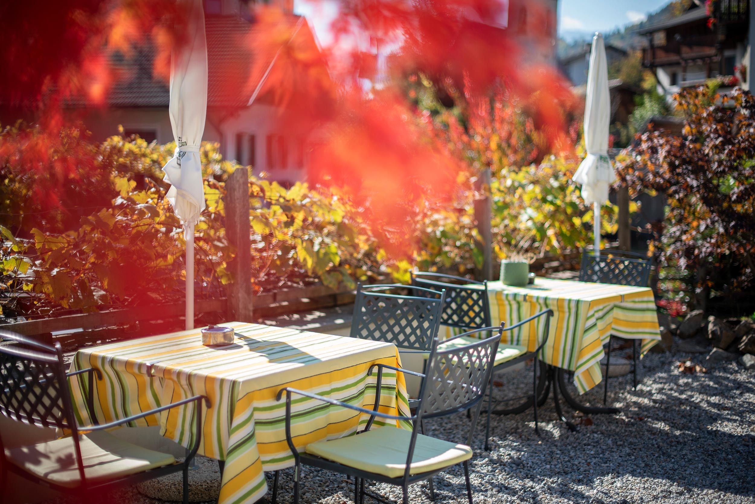 Wellnesshotel: Aktiv- & Vitalhotel Taubers Unterwirt, Garten - Aktiv- & Vitalhotel Taubers Unterwirt